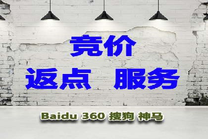 SEM推广代运营案例：品牌塑造